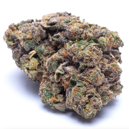 Fleur de CBD : Purple Cryo Kush - Fleur de CBD - Indoor