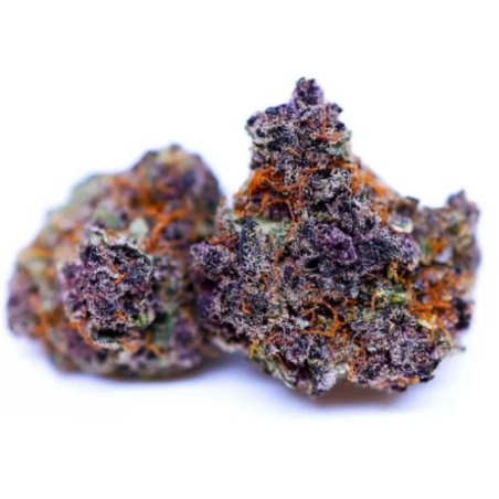 Fleur de CBD : Purple Punch (American Genetics) - Fleur de CBD - Greenhouse