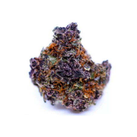 Fleur de CBD : Purple Punch (American Genetics) - Fleur de CBD - Greenhouse