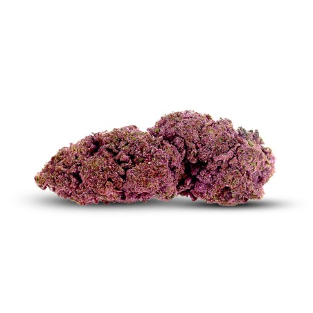 Fleur de CBD : Purple Witch - Fleur de CBD - Indoor