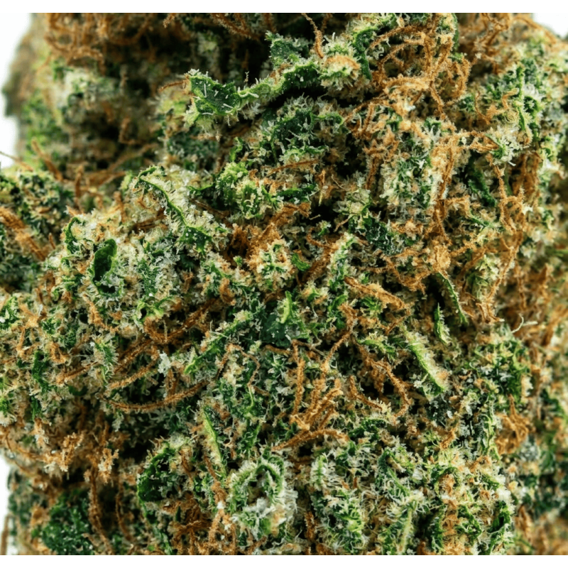 Girl Scout Cookies CBD