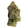 Fleur de CBD : Strawberry Diesel CBD