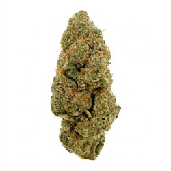 Fleur de CBD : Amnesia Haze CBD