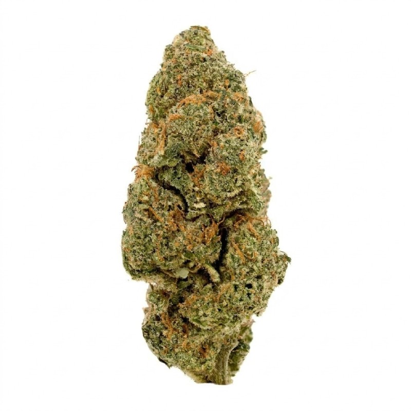Fleur de CBD : Amnesia Haze CBD