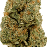 Fleur de CBD : Amnesia Haze CBD