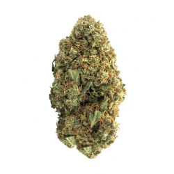 Fleur de CBD : White Widow CBD