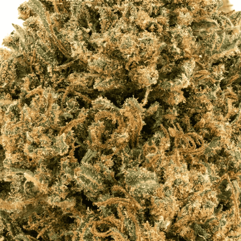 Pineapple Haze CBD