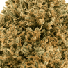Pineapple Haze CBD