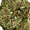 Fleur de CBD : Purple Punch Cryo CBD