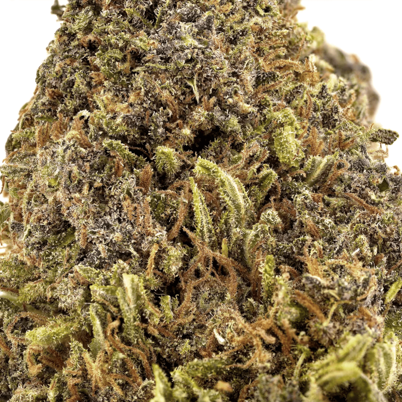 Fleur de CBD : OG Kush CBD
