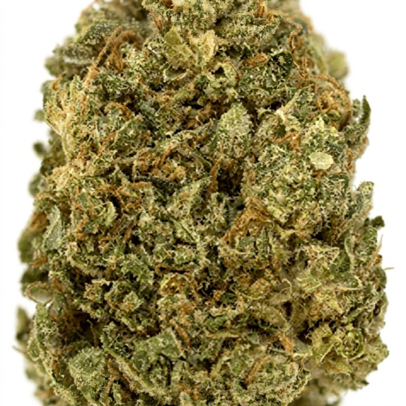 Fleur de CBD : Edelwiis CBD