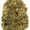 Fleur de CBD : Edelwiis CBD