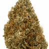 Sunset Sherbet CBN