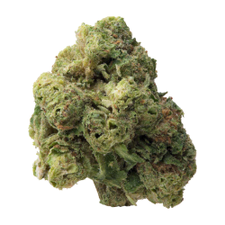 Fleur de CBD : Lemon Cherry Gelato - Small Bud CBD