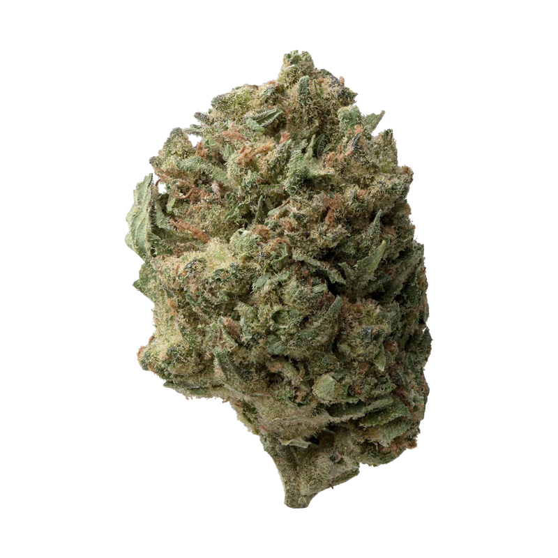 Fleur de CBD : Cannatonic - Small Bud CBD