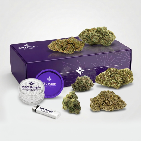 Pack Découverte Fleurs CBD, 6 Fleurs + Accessoires | CBD Purple
