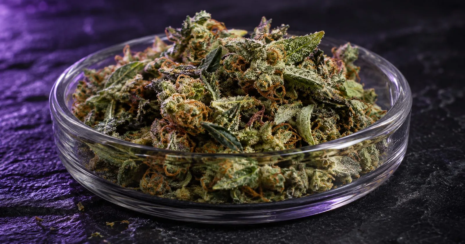 Trim de chanvre dans une coupelle en verre : petites fleurs, feuilles résineuses et pistils