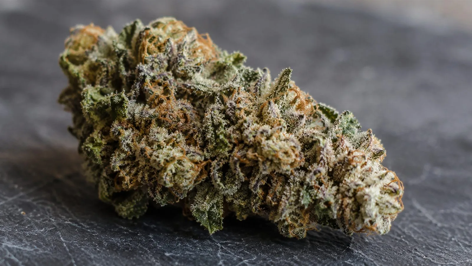 Trichomes : qu'est-ce que c'est, et quel lien avec le CBD ?